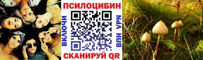 Галлюциногенные грибы Magic Shrooms  Ижевск 