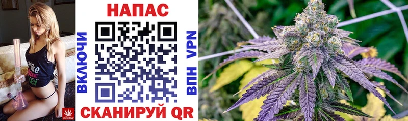 Бошки Шишки SATIVA & INDICA  Ижевск 